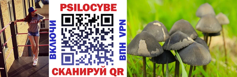 Галлюциногенные грибы Psilocybe blacksprut зеркало Гаврилов Посад